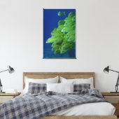 School of franse bluestriped and margate grunts canvas afdruk (Insitu (Slaapkamer))