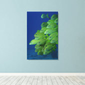 School of franse bluestriped and margate grunts canvas afdruk (Insitu (Houten vloer))