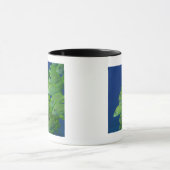 School of franse bluestriped and margate grunts mok (Midden)