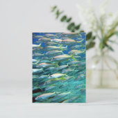 School of Gellow Tailed Goatfish Briefkaart (Staand voorkant)