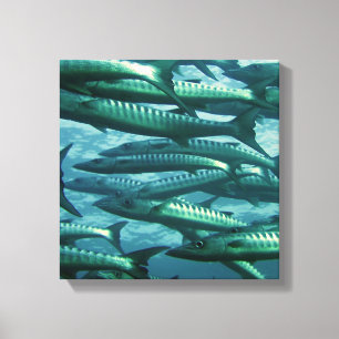 School of Green Fish Canvas Print