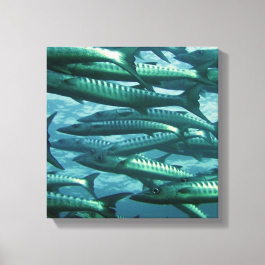 School of Green Fish Canvas Print (Voorkant)