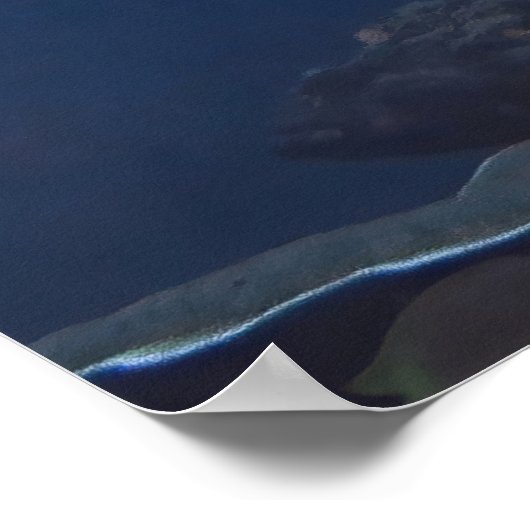 School of Jacks Poster (Hoek)