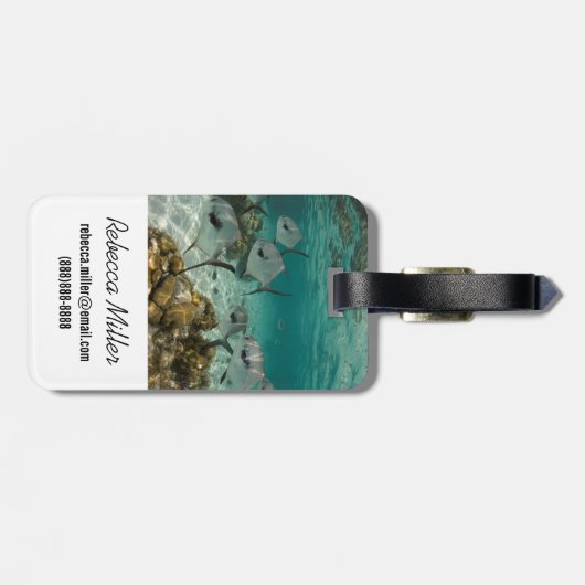 School of Permit Fish Bagagelabel (Achterkant horizontaal)