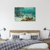 School of Permit Fish Canvas Afdruk (Insitu (Slaapkamer))