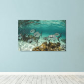 School of Permit Fish Canvas Afdruk (Insitu (Houten vloer))