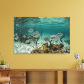 School of Permit Fish Canvas Afdruk (Insitu (Woonkamer))