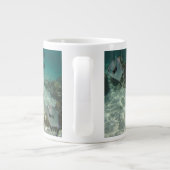 School of Permit Fish Grote Koffiekop (Achterkant)