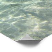 School of Permit Fish Poster (Hoek)