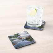 School of Piranhas (Pygocentrus nattereri) Drankjes Onderzetter (Rechterzijde)