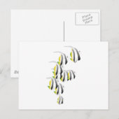 School of Tropical Fish Briefkaart (Voorkant / Achterkant)