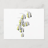 School of Tropical Fish Briefkaart (Voorkant)