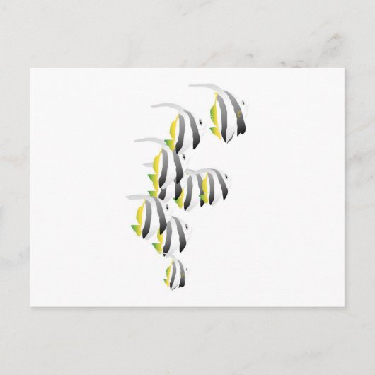School of Tropical Fish Briefkaart (Voorkant)