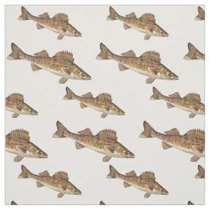 School of Walleye Fish Stof