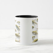 School of X-ray tetra fish (Pristella) Mok (Midden)