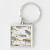 School of X-ray tetra fish (Pristella) Sleutelhanger (Voorkant)