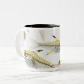 School of X-ray tetra fish (Pristella) Tweekleurige Koffiemok (Voorkant links)