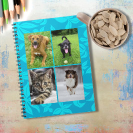 School Vier Foto Blauwe Bloemen Klaslokaal Notitieboek