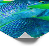 School voor Snappers Poster (Hoek)