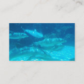 School voor Visitekaartjes met dolfijnen (Achterkant)