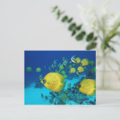 School voor vlinder zwemmen op de zeebodem briefkaart (Staand voorkant)