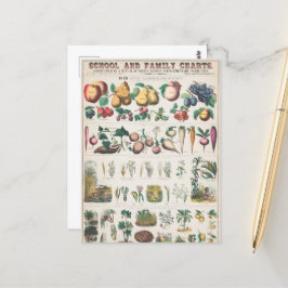  Schoolcursus Botanische Onderwijs 1890 Briefkaart