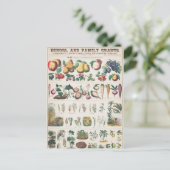  Schoolcursus Botanische Onderwijs 1890 Briefkaart (Staand voorkant)