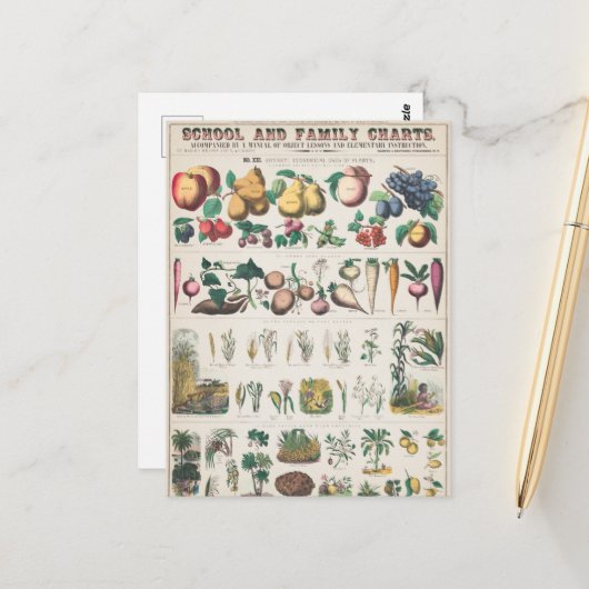  Schoolcursus Botanische Onderwijs 1890 Briefkaart (Voorkant / Achterkant in situ)