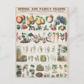  Schoolcursus Botanische Onderwijs 1890 Briefkaart (Voorkant)