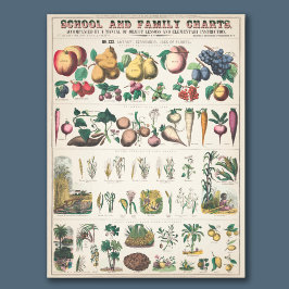  Schoolcursus Botanische Onderwijs 1890 Foto Afdruk