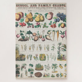 Schoolcursus Botanische Onderwijs 1890 Legpuzzel
