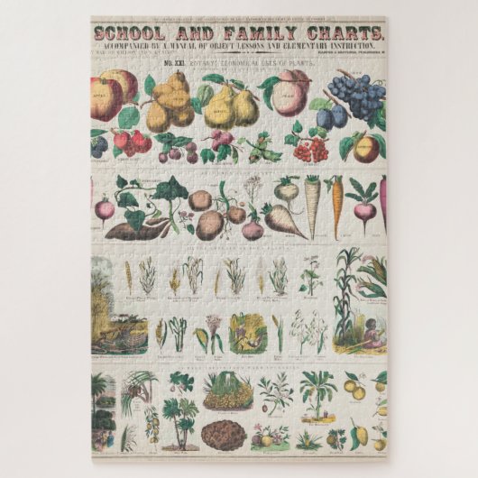  Schoolcursus Botanische Onderwijs 1890 Legpuzzel (Verticaal)
