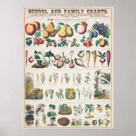  Schoolcursus Botanische Onderwijs 1890 Poster