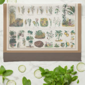 Schoolcursus Botanische Onderwijs 1890 Theedoek (Gevouwen)