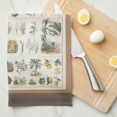 Schoolcursus Botanische Onderwijs 1890 Theedoek (Quarter Fold)