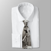 Schooldagen Stropdas (Gebonden)