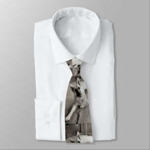 Schooldagen Stropdas