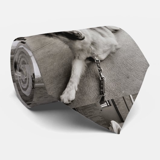 Schooldagen Stropdas (Opgerold)