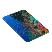 Schooling Fairy Basslets (Pseudanthias) Magneet (Rechterzijde)