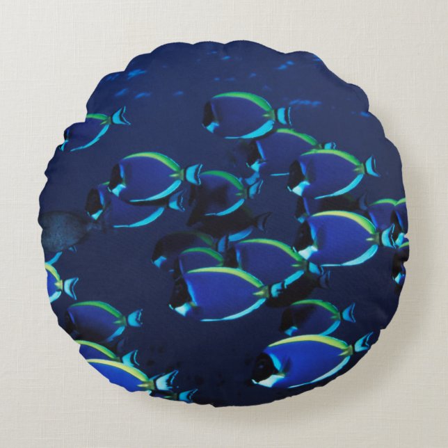 Schooling Powder Blue Doktersvis Rond Kussen (Voorkant)