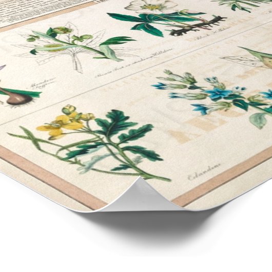 Schoolkaart voor Homeschooling Poster (Hoek)