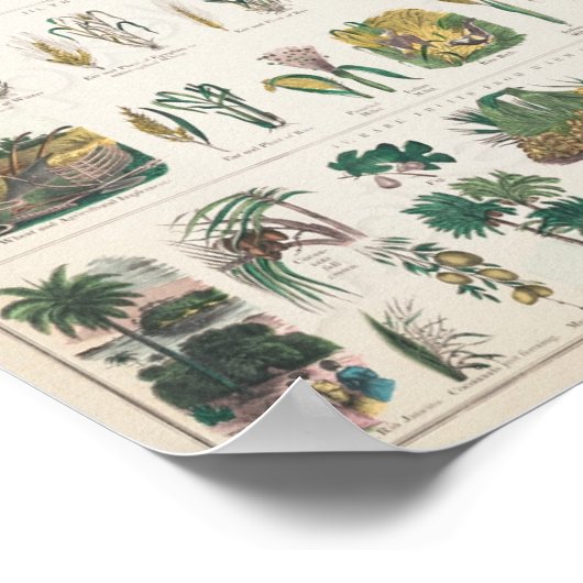  Schoolkaart voor Homeschooling Poster (Hoek)