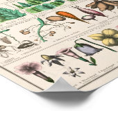  Schoolkaart voor Homeschooling Poster (Hoek)