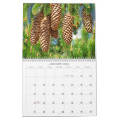 Schoolkalendars Seizoenen Seizoensgebonden Gifts H Kalender (Jan 2026)