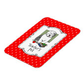 Schoolleraar Oude Engelse schapenhond (grijs 1) Magneet (Linkerzijde)