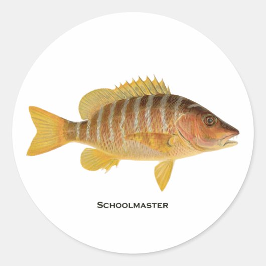 Schoolmeester Fish Logo Ronde Sticker (Voorkant)