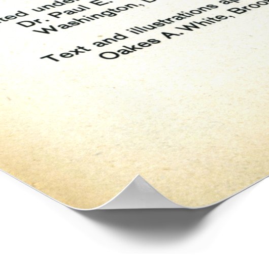  Schoolonderwijs Poster (Hoek)