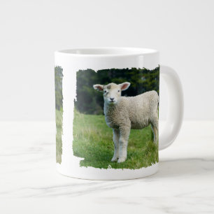 Schoon Baby Schaap Modderig Gezicht in de Weide Grote Koffiekop