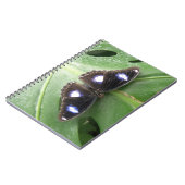 Schoon Blauw Gevlekt Vlinder Notitieboek (Linkerzijde)