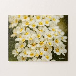 Schoon bruidsboeket-spirea legpuzzel